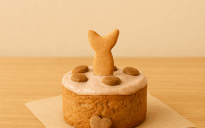 Comment préparer un gâteau d’anniversaire pour votre chat ?