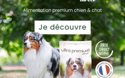 – 10% sur toutes vos commandes Ultra Premium avec notre code promo !