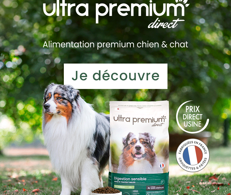 – 10% sur toutes vos commandes Ultra Premium avec notre code promo !